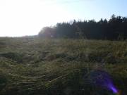 Stimmungsbild