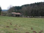 Alte Hütte