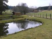 Gänseweiher