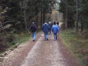 Durchs GehÃ¶lz