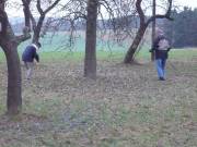 Streuobstwiese