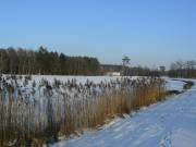 Weiheranlage am Rotweiher