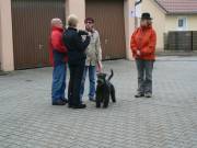 und ein mittelgroÃŸer Hund