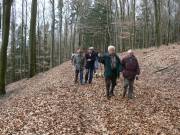 Durch alten Buchenwald
