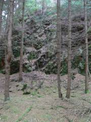 Felsen hinter BÃ¤umen