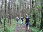 55 Durch den Wald