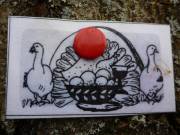 15 Unbekanntes Plastikschild