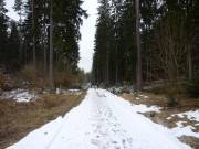 12 Schneebedeckter Wanderweg