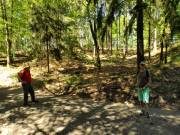 Weiter gings durch den Wald