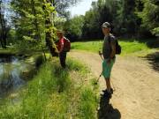 Löschweiher bei Ellersdorf