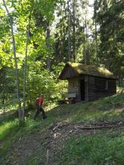 Joachim hat was entdeckt