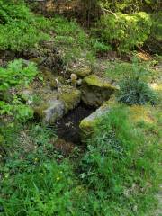 Finsterquelle am Johannisberg