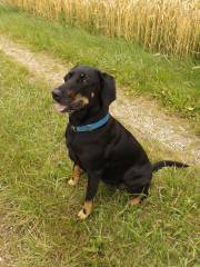 Tessa wanderte auch mit