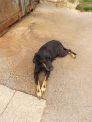 Nach der Wanderung ruht sich Tessa aus