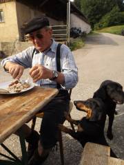 Bekommen die Hunde etwas von Max?