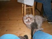 5 Er darf nicht fehlen