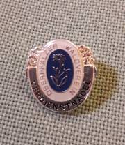 So sieht die Verdienstnadel in Silber aus