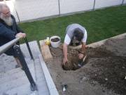 Mit Gewalt - Stiel ab!