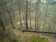 Oberhalb vom Steinbruch