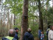 Marterl am Kirchsteig