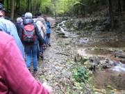 In Reih und Glied wanderten alle entlang der Lillach mit ihren Sinterstufen