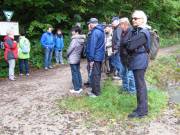 Kurz Umschau bevor wir zur Lillachquelle kamen