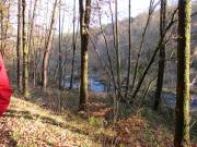 Natur pur